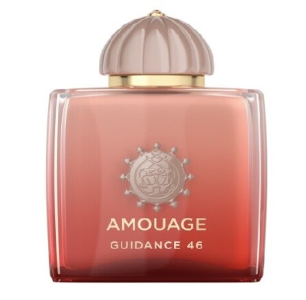 عطر آمواج گایدنس ۴۶ | Amouage Purpose Extrait 50 کپی