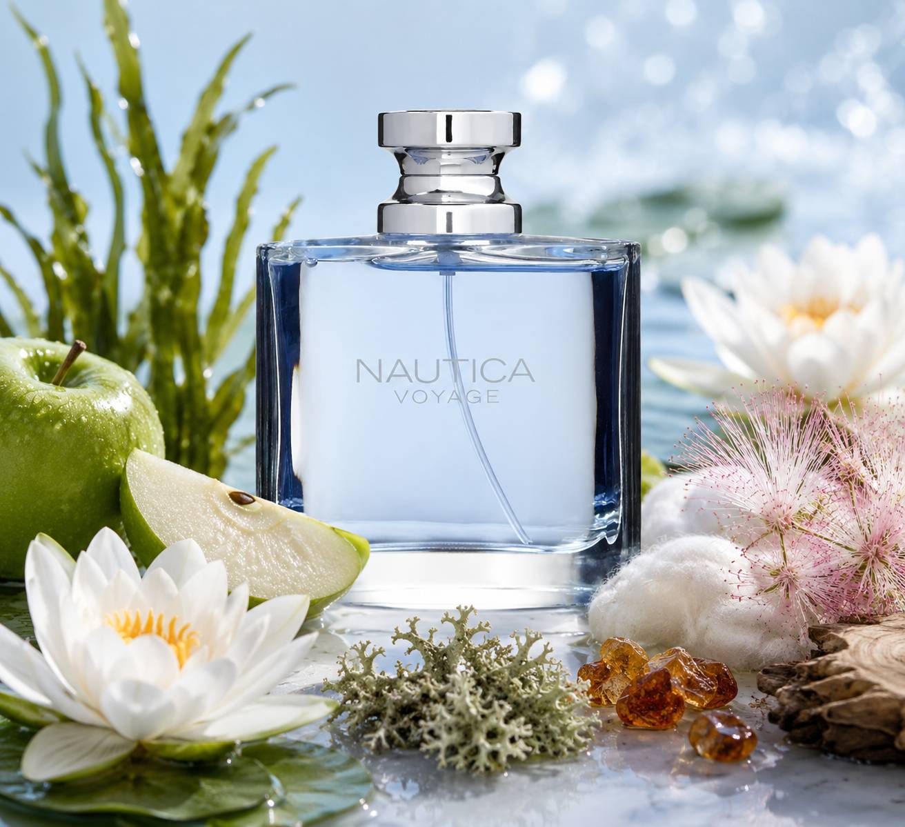 عطر نوتیکا وویاژ (ناتیکا وویاج) | Nautica Nautica Voyage