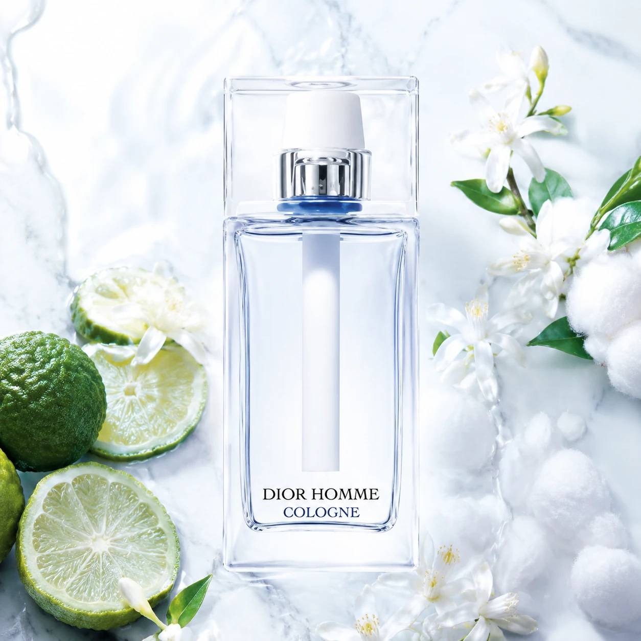 عطر دیور هوم کلون | Dior Homme Cologne